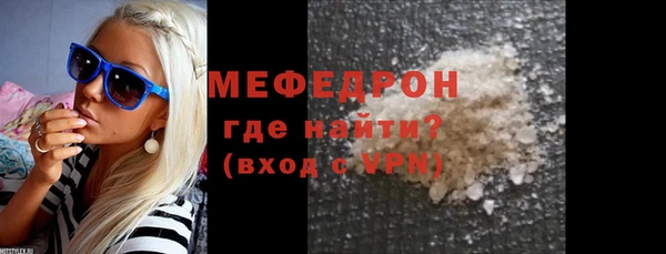мдпв Бородино