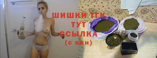 мдпв Бородино