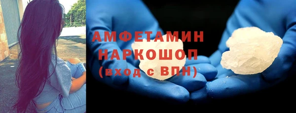 мдпв Бородино