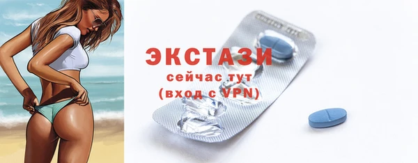 мдпв Бородино