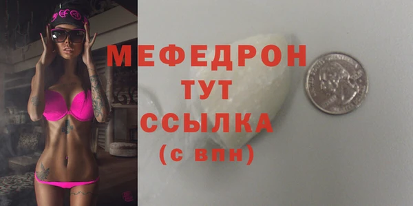 мдпв Бородино