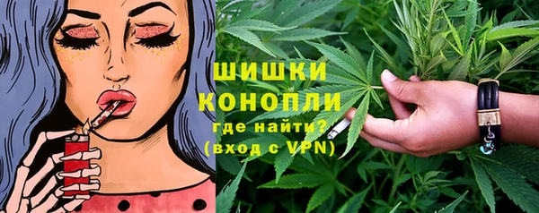 мдпв Бородино