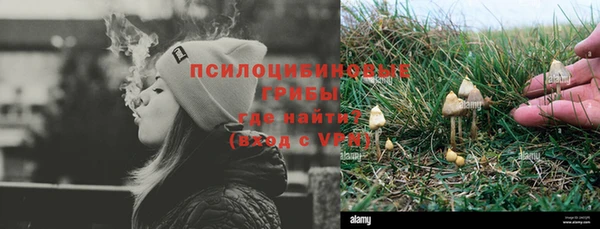 мдпв Бородино
