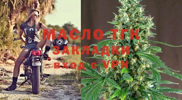 мдпв Бородино