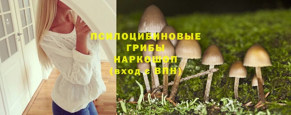 мдпв Бородино