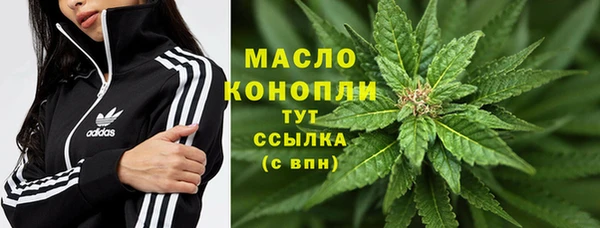 мдпв Бородино