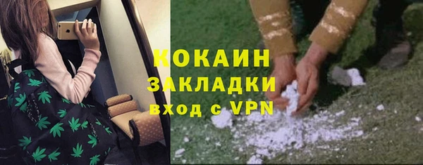 мдпв Бородино